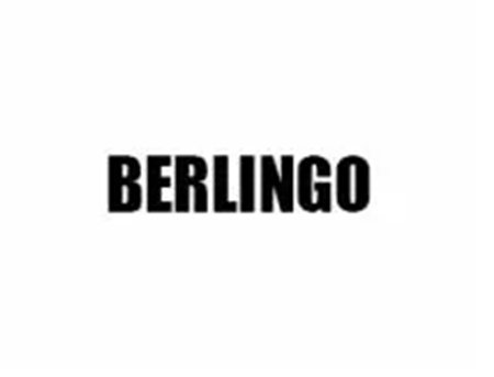 Picture for category BERLINGO